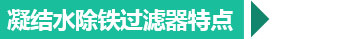 西安凝結(jié)水除鐵過(guò)濾器特點(diǎn)